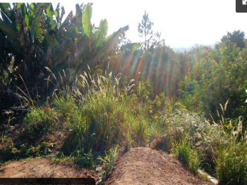 Imagem 4 de 5 de Terreno - Te00141 - 69381158