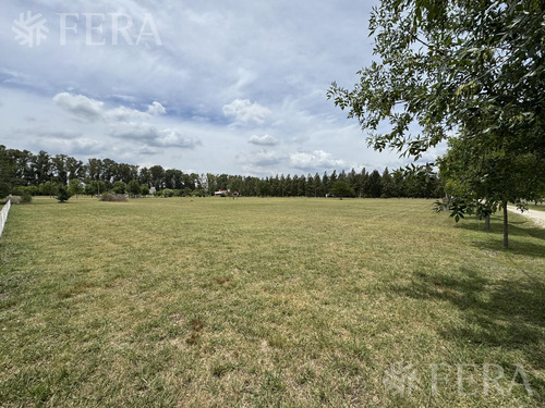 Venta De Terreno En Campos De Roca 2