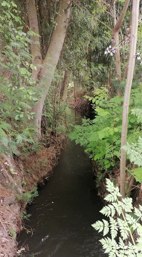 Parcela En San Carlos Sector Quilelto Con Derechos De Agua