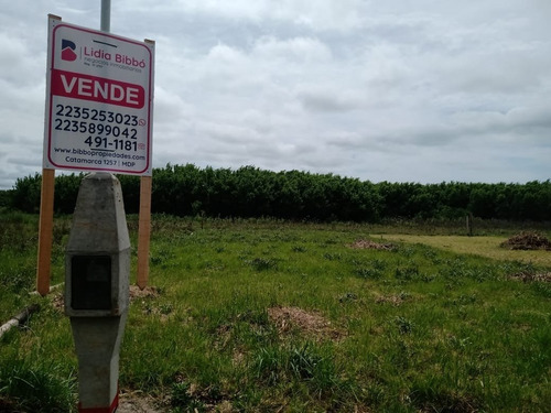 Imagen 10 de 10 de 2 Lotes Juntos O Separados En Felix U Camet