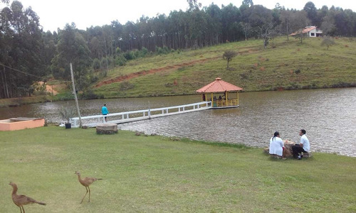 Imagem 13 de 14 de Sitio, Itaguara
