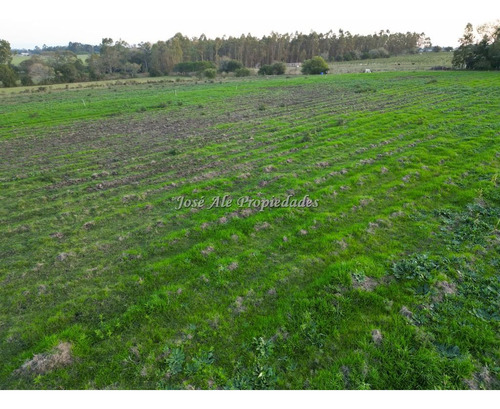 En Venta Chacra De 1 Ha Por Ruta 21, Colonia Del Sacramento
