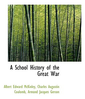 Libro A School History Of The Great War - Mckinley, Alber...