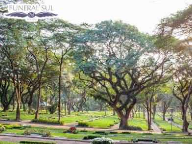 Jazigo Cemitério Getsêmani Morumbi 5 Gavetas Vazio
