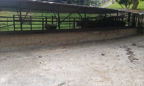 En Venta Finca Ideal Para Ganadería, Cría De Caballos Entre Otras Actividades.