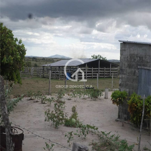 Imagen 3 de 5 de Group Inmotc Vende Finca En La Vía Upata/el Manteco
