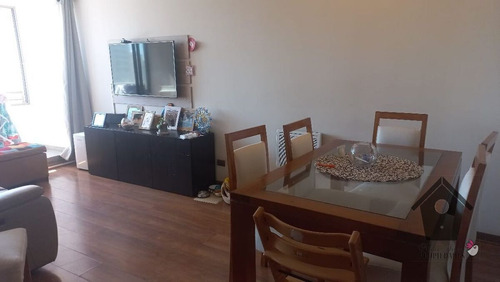 Los Pellines, Bosques De Montemar, 2d 2b, 68/75m2