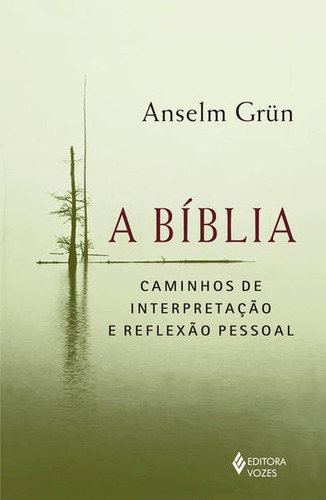 A Bíblia: Caminhos De Interpretação E Reflexão Pessoal, De Grün, Anselm. Editora Vozes, Capa Mole Em Português