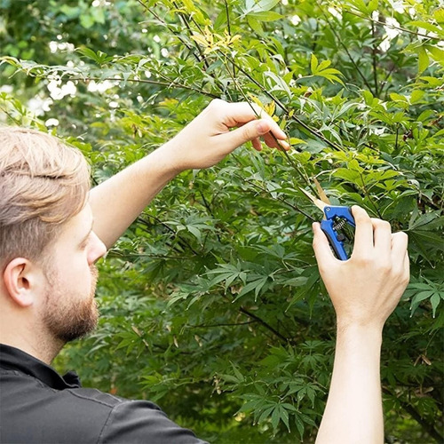 Imagen 4 de 4 de Tijeras Podadoras Para Flores De Precisión De Hoja Curva