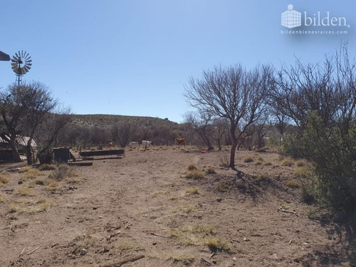 Imagen 3 de 12 de Terreno En Venta San Pedro Del Gallo