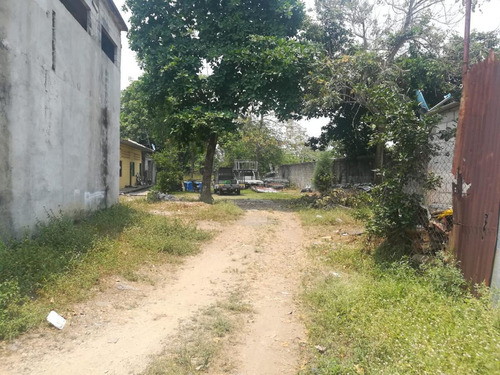 Imagen 4 de 7 de Terreno - La Piragua