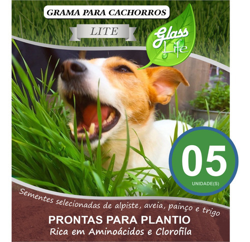 Kit C/ 5 Sementes De Grama P/ Cachorro Lite - Sem Agrotóxico