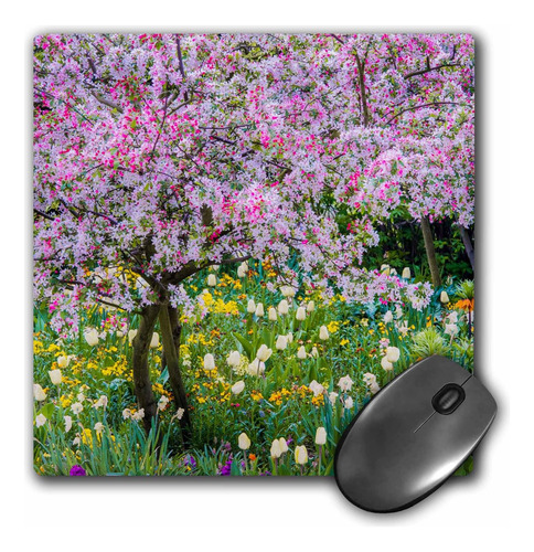 3drose Francia, Giverny. Primavera En El Jardín De Claude 8