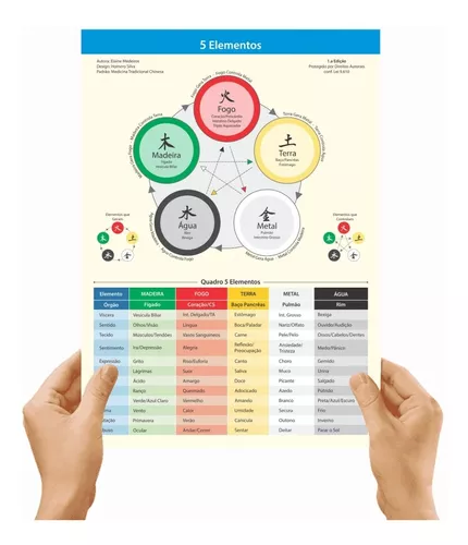 Os 5 elementos na Acupuntura - Acupuntura Domiciliar