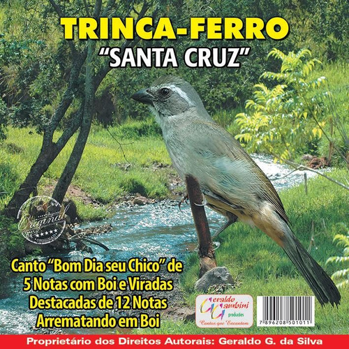 Cd-de Trinca Ferro- Canto Bom Dia Seu Chico+ 5 Notas+ Boi