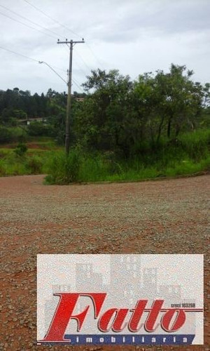 Imagem 3 de 3 de Terreno Para Venda, Loteamento San Martin - A0019_2-421323