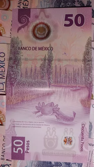 Billete $50 Pesos Del Ajolote Mexicano