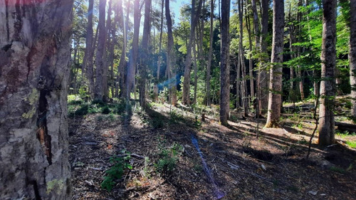 Imagen 16 de 22 de Venta Lote 1700 M2 En Bosque Villa La Angostura