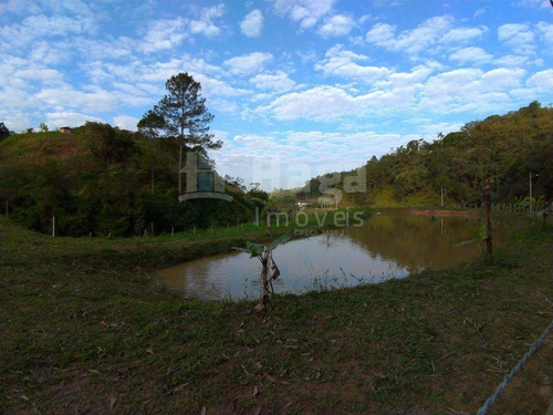 Sítio À Venda Em Gaspar/sc - 1539