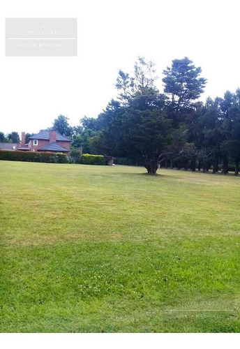 Imagen 3 de 18 de Gb Propiedades- Hermoso Lote En Venta- La Otilia