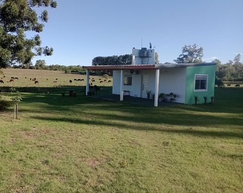Alquiler Temporario Casa En Federación, Zona Rural. Entre Ríos.