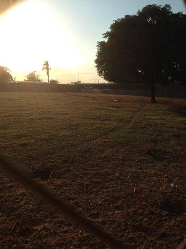 Imagen 6 de 12 de Se Vende Finca Terreno Propio En Taguanes Tinaquillo Cód 163349 Lucrecia Escorcha