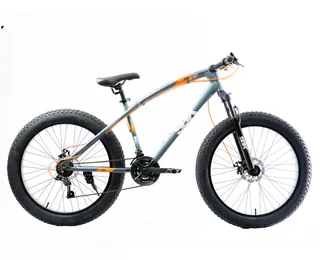 Bici Fat Rod 26 Shimano 21 Vel Mtb Brave Boy Acero Discos Color Gris oscuro