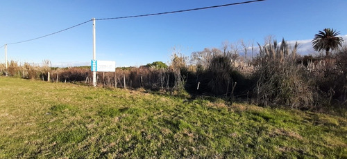 Imagen 10 de 13 de Se Vende Fracción De Campo Ruta 102 Y Melilla