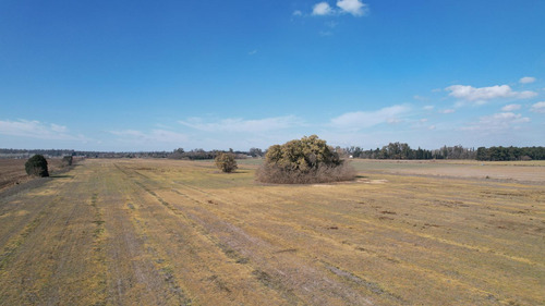Campo En Venta 36 Hectáreas Clase 1 Oliveros, Sta Fe