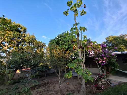 Chácara Em Condominio Fechado Em Ibiúna - 1000 M2 Terreno - Casa 3 Dormitórios Com Churrasqueira E Edícula