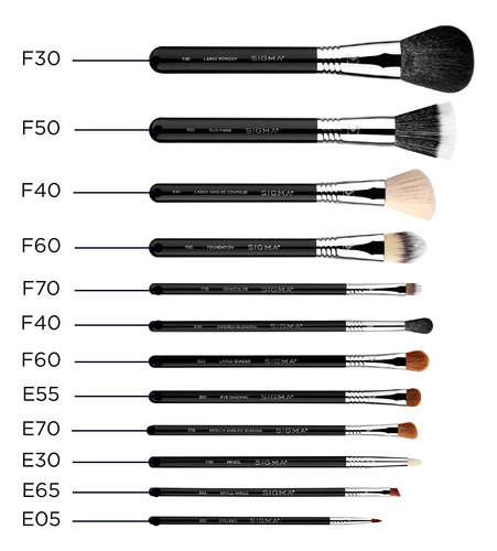 Set De 12 Brochas De Maquillaje Sigma Beauty Essential