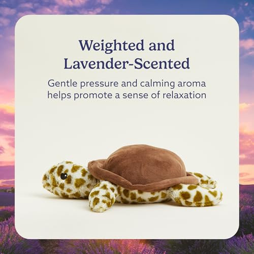 Intelex Cozy Microwaveable Plush Turtle - Lavanda Perfumada