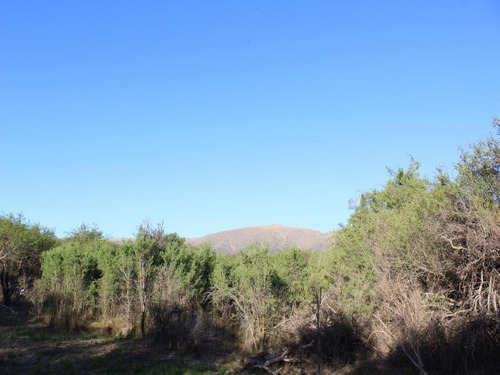 Imagen 5 de 14 de Venta De Lote En Cortaderas Desmalezados