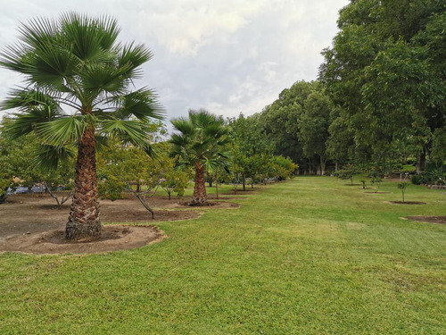 Terreno Campestre En Venta En El Espejo En Fraccionamiento Sustentable