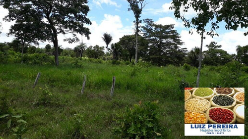 Imagem 11 de 15 de Fazenda À Venda No Vale Do Araguaia - T0 - 36 Alqueirões (dupla Aptidão) - 1675