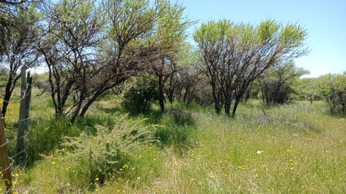 Parcela 5000 Mt