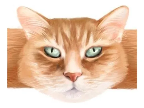 Genging Paws: Vendas Temáticas De Gatos De Hug-aoboo, ¡los