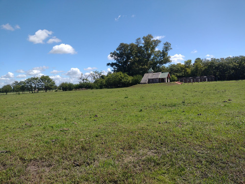 Campo En Venta Sobre Ruta 6, Marcos Paz