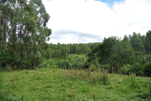 Campo En Venta