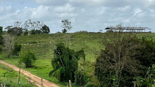 Imagen 18 de 25 de Bella Finca Operativa Ubicada En El Palmar, Estado Bolivar
