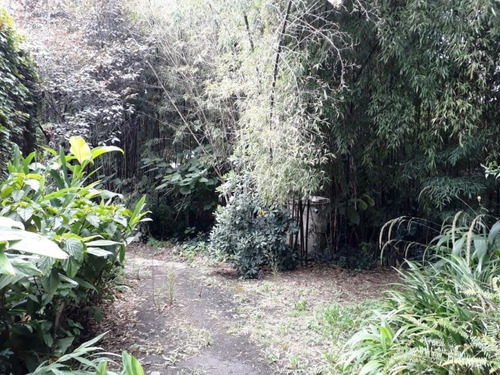 Imagen 3 de 6 de Terreno En Venta En Muñiz