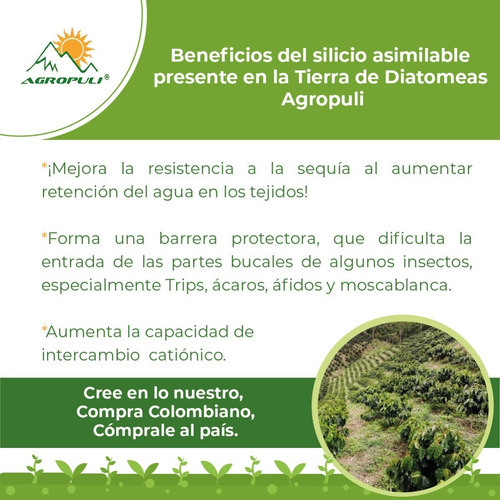 Tierra De Diatomeas Agropuli X 8kg