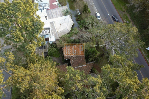 Imagen 2 de 30 de En San Rafael Apto Para Altura