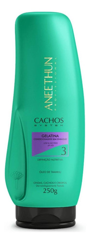 Gelatina Cachos System 250g - Aneethun