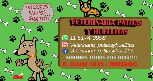 Imagen 2 de 2 de Raza Gato
