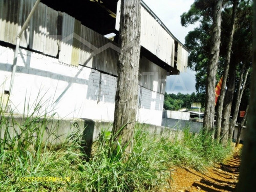 Imagem 5 de 8 de Galpao - Batistini - Ref: 352 - V-1536