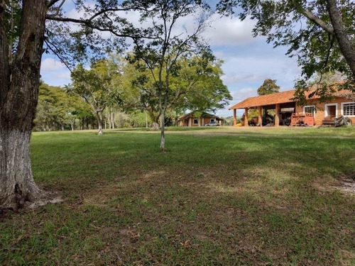 Imagem 17 de 29 de Fazenda 155 Alqueires, Terra Fértil, Rica Em Água Com Rio, 120 Alqueires Para Lavoura, 20 Alqueires Em Eucalipto, Casa Sede, Casa Caseiro, Curral - Fa00262 - 70837159