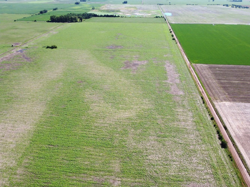 Imagen 4 de 14 de Excelente Campo De Explotación Mixta 681ha En General Pinto