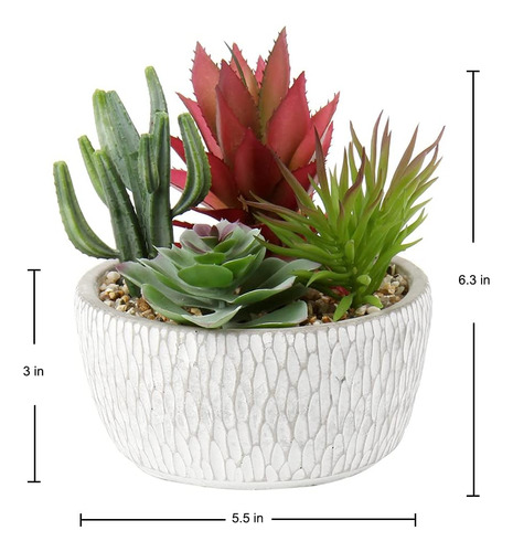 Plantas Suculentas Artificiales En Macetas De Cemento