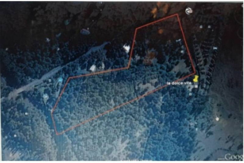 Imagen 3 de 15 de Inversionistas/ Terreno 8 Hectareas/ Camino Villarrica Pucon